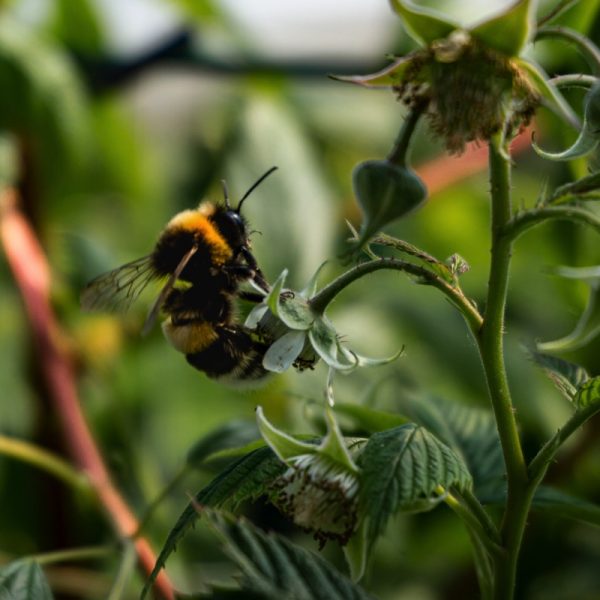 Photo Justus Menke on Unsplash